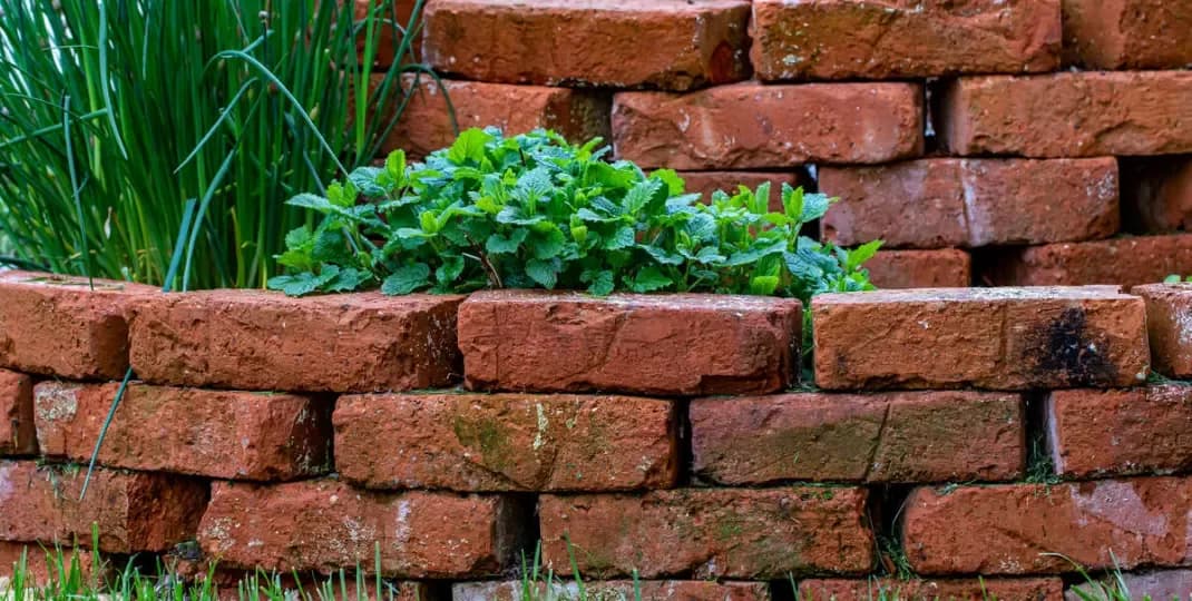 Co można zrobić z cegły w ogrodzie? Ciekawe pomysły na aranżację